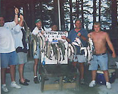 Reelfoot Catfish Picture
