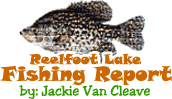 reelfoot lake fishing report